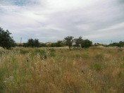 Plot in a perfect location in Almancil 