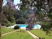 Out Of This World In Sintra