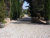 7 bedroom Quinta in Pereiras