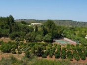 Large country estate for sale near Silves
