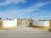 Country villa to sell in Evora - Alentejo
