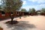 Riding Center On The Outskirts Of Silves