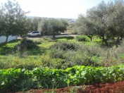 Piece of land with approved project