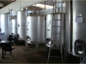 25 ha of established vineyards