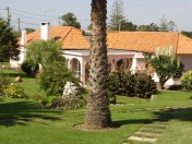 Superb Villa in Praia Grande With Stables And Guest House
