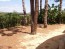 3 bed rustic villa quiet location