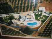 Casa Diane - Silves - Amendoeira