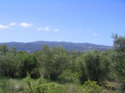 A plot of land in great location