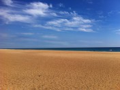 Spacious bright quality apartments close to the beach