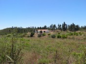 22 hectare Quinta in Senhora do Verde, Portimao