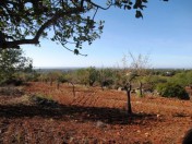 Plot with amazing sea views in Alcaria Cova 