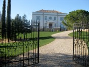 Grand Country Manor House in Sao Lourenco