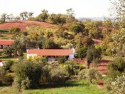 Attractive Portuguese 5 bedroom farmhouse 