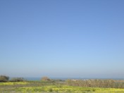 Ocean view plot for Design & Build