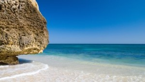 The Praia Grande Project Can Help Revitalize Nature and the Local Economy